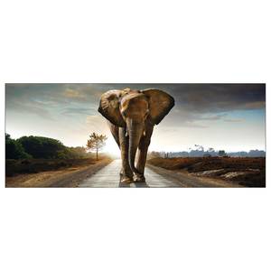 Floatglasbild Elephant Multicolor - Glas - 80 x 30 x 1.3 cm