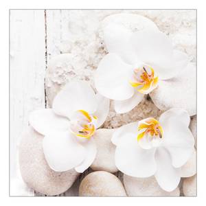 Floatglasbild White & Yellow Flowers I 30 x 30 cm