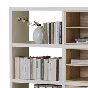 Libreria Concept IV Quercia naturale