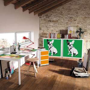 Rollladenschrank easyOffice Pop Art Dog Weiß / Grün