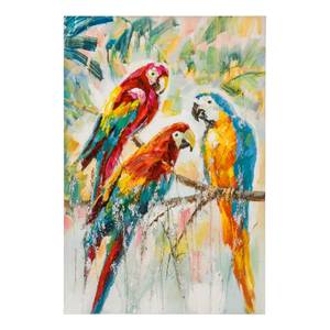 Bild Tropical Parrot Multicolor - Textil - 80 x 120 x 4 cm