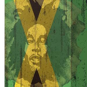 Schoenenkast Jamaica wit/Bob Marley motief