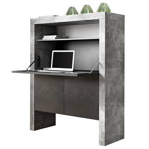 Secretaire Detroit beton / mat zwart