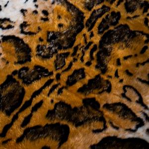 Leopardenkunstfell Sajan Kunstfaser - Schwarz / Weiß - 150 x 220 cm