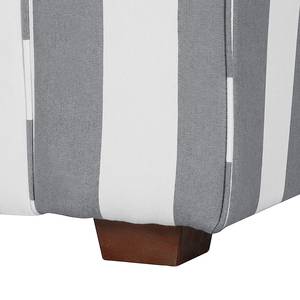 Canapé Colmar (2 places) Tissu gris à rayures - Gris