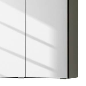 Armoire de toilette Zeehan I Avec éclairage - Graphite - Largeur : 100 cm