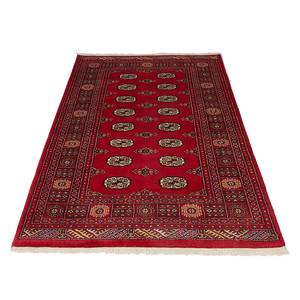 Tapis pakistanais Omara Delux  Rouge Rouge Pure laine vierge 170 cm x 240