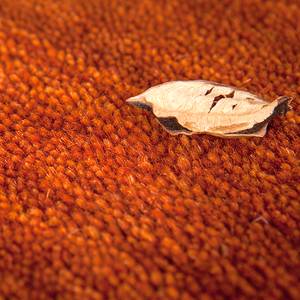 Teppich Prestige Orange - 120 x 170 cm