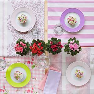 Nappe Summer Garden I Rose foncé