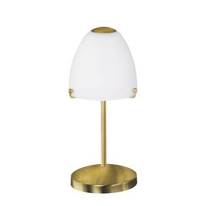 Lampe ANIQUE Métal / Verre 1 ampoule