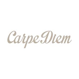 Wandafbeelding Carpe Diem Impregnable Meerkleurig - Wit - Plastic - 18 x 68 x 0.9 cm