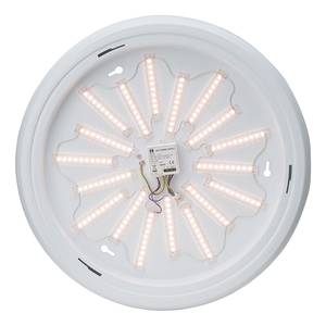 Lampada LED da parete/soffitto Vigor 1 luce