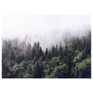 Canvas foresta nella nebbia Foggy Forest