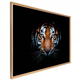 Tableau mural mat encadré regard tigre Orange - Bois manufacturé - 65 x 97 x 3 cm