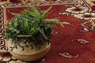 Bcf Rug Morad Trio Fleurs, Feuilles 200 x 300 cm