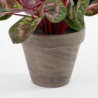 Plante artificelle Cyclamen Rose foncé - Matière plastique - Pierre - 30 x 30 x 30 cm