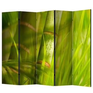 Paravent Bamboo Nature Zen Vlies - Grün - 5-teilig