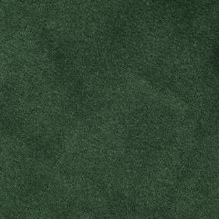 Chaises capitonnées Lux I (lot de 2) Velours / Chêne massif - Tissu Vika : Vert forêt - Chêne clair
