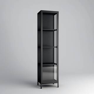 Standvitrine Cowee Glas / Metall - Schwarz
