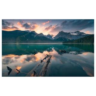 Fotobehang Burning Emerald vlies - meerdere kleuren - Breedte: 450 cm