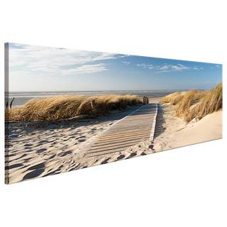 Acrylglasbild Wild Beach Acrylglas - Blau - 120 x 40 cm