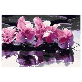 Schilderen op Nummer - Paarse Orchidee canvas - Roze