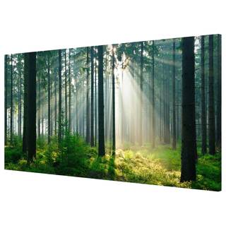 Tableau magnétique Enlightened Forest Acier / Film vinyle - Vert