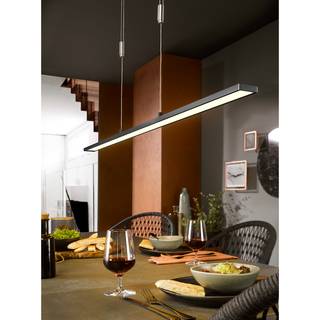 LED-hanglamp Carmel I acryl/ijzer - 1 lichtbron