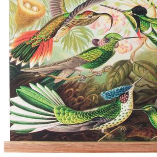 Poster Birds Textil - Mehrfarbig