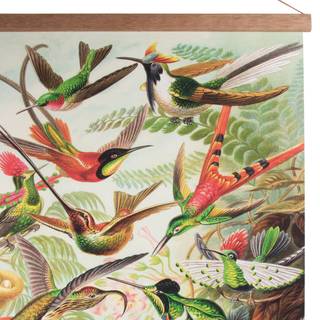 Poster Birds Textil - Mehrfarbig