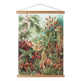Poster Forest Textil - Mehrfarbig