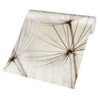 Fotomurale Fiori delicati Tessuto non tessuto - Bianco - 384 x 255 cm