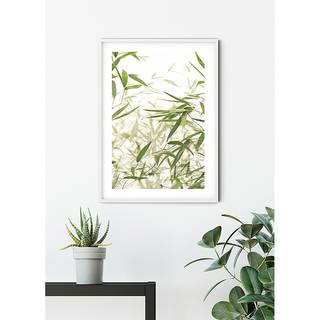 Poster Bamboo Leaves Carta - Bianco / Verde