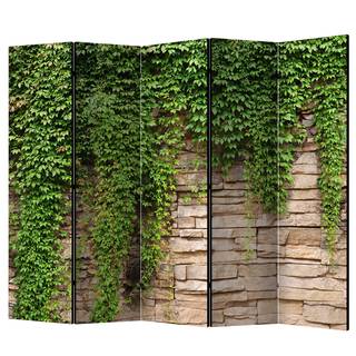 Paravent Ivy wall Vlies auf Massivholz  - Grün - 5-teilig
