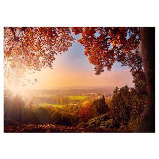 Fotomurale Autumn Delight Tessuto non tessuto - Multicolore - 100 x 70 cm