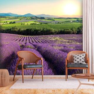 Fotomurale Lavender Field Tessuto non tessuto - Lilla - 200 x 140 cm