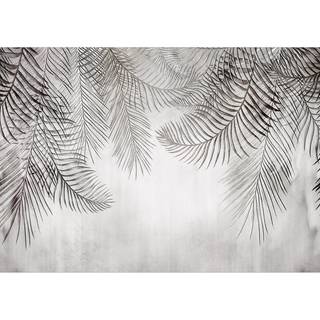 Vlies Fototapete Night Palm Trees Vlies - Schwarz / Weiß - 400 x 280 cm
