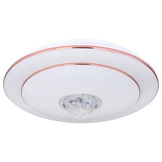 Lampada da soffitto Santina Vetro acrilico / Ferro - 1 punto luce