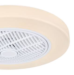 Ventilatore a LED Joey I Vetro acrilico / Ferro - 1 punto luce