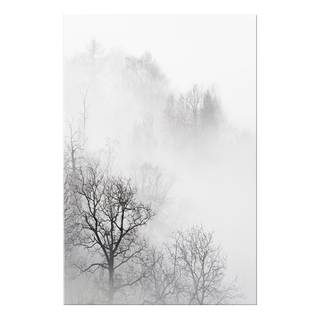 Afbeelding Trees In The Fog verwerkt hout & linnen - zwart-wit