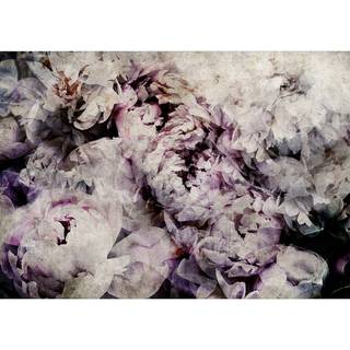 Fotomurale Home Flowerbed Tessuto non tessuto - Grigio / Rosa - 100 x 70 cm