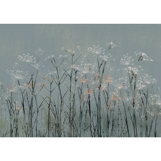 Fotobehang Garlic Flowers vlies - meerdere kleuren - 400 x 280 cm
