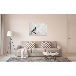 Afbeelding Vogel Sketchpad polyester PVC/sparrenhout - grijs/zwart