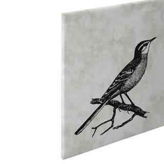Afbeelding Vogel Sketchpad polyester PVC/sparrenhout - grijs/zwart