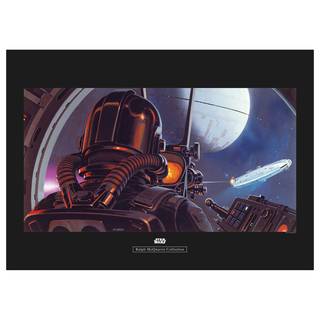 Afbeelding Star Wars TIE-Fighter Pilot meerdere kleuren - papier - 70 cm x 50 cm