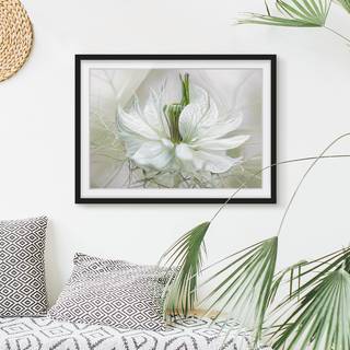 Tableau déco Nigelle blanche II Papier / Pin - Blanc - 100 x 70 cm