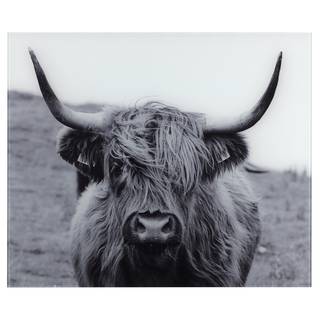 Glasrückwand Highland Cattle Edelstahl / Bambus - Silber matt / Braun