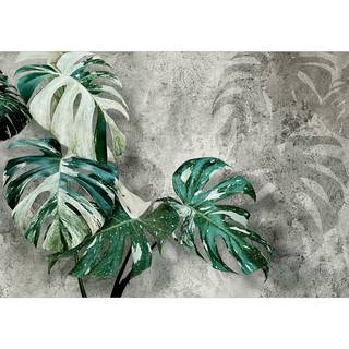 Fotomurale Variegata Tessuto non tessuto premium - Grigio - Larghezza: 100 cm