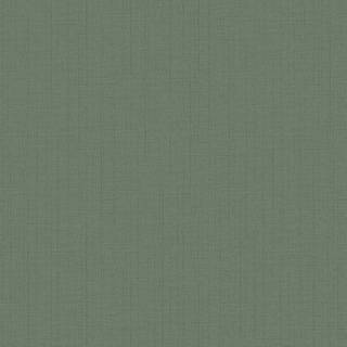Fotomurale Textil Tessuto non tessuto - Verde scuro