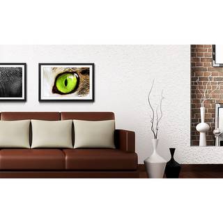 Quadro con cornice Cats Eye Green II Abete / Vetro acrilico